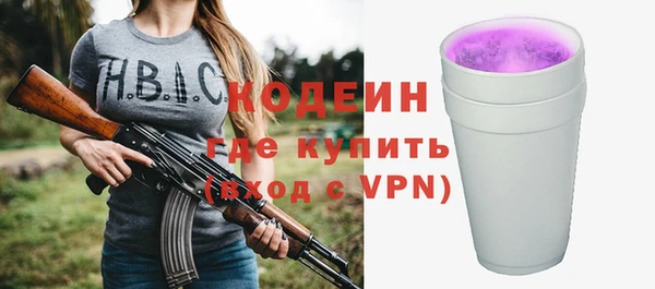 прущие грибы Няндома