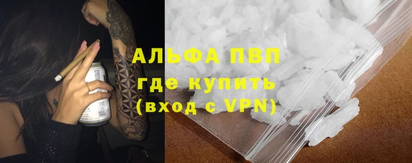 бошки Новодвинск