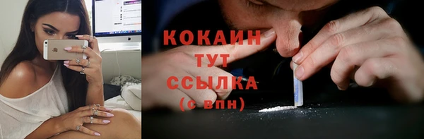 apvp Пестово