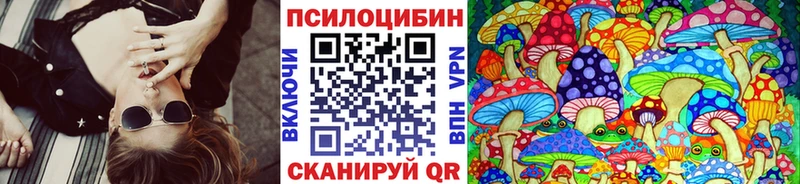 закладка  Мариинск  Галлюциногенные грибы прущие грибы 